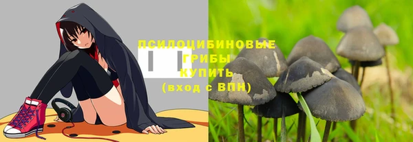 хмурый Елизово