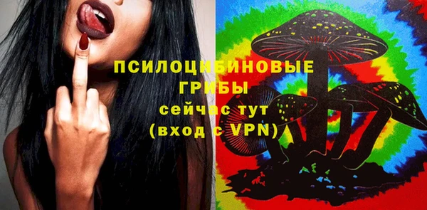 первитин Елабуга