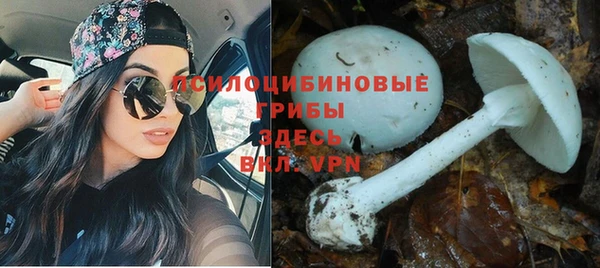 гидропоника Красавино